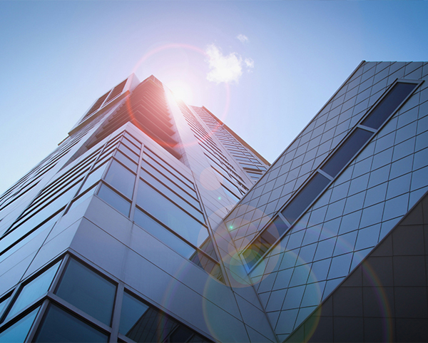 Serv details capacity building manage organization new img