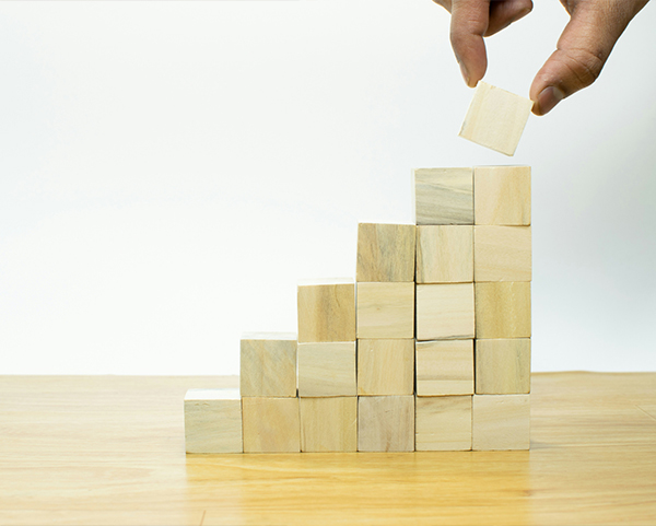 Serv details capacity building strategic communication engagement new img