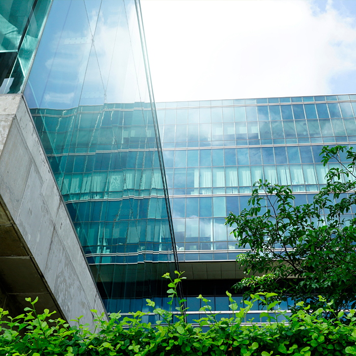 Accelerating the Energy Transition with Scalable Solutions